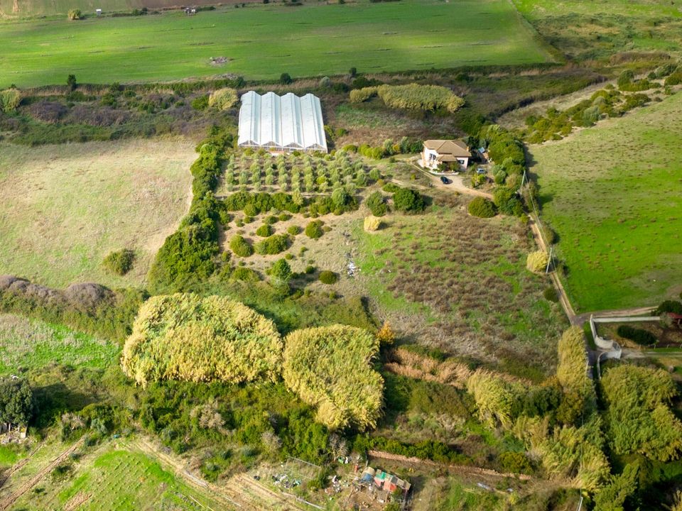Farm hus i Olmedo, Sassari - foto 1